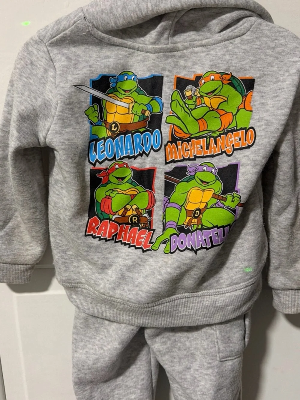 Teenage Mutant Ninja Turtles Kids Grey Hoodie & Jogger Set